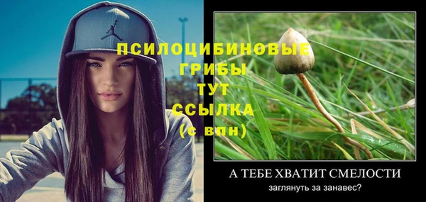 ECSTASY Баксан