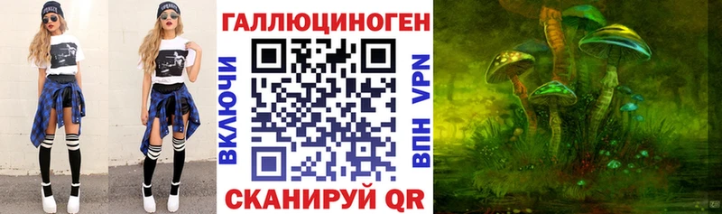 Галлюциногенные грибы Psilocybine cubensis  Купить закладки  Сунжа 